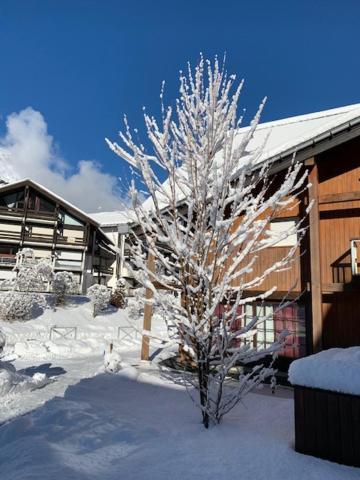 Appartamento Les Combettes Les Contamines-Montjoie Esterno foto